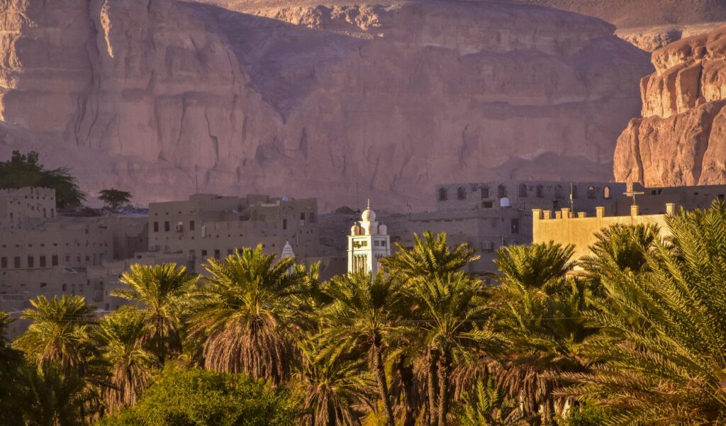 Capture of palm trees and traditional buildings in Yemen against a rocky cliff backdrop.