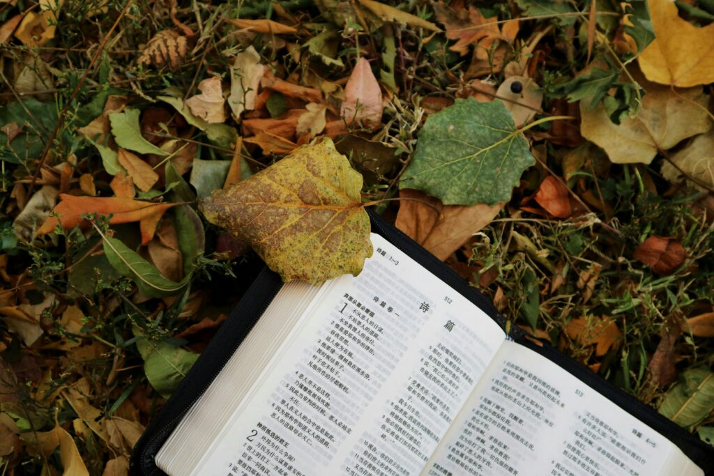 An open book with Chinese characters amidst colorful autumn leaves in a park.