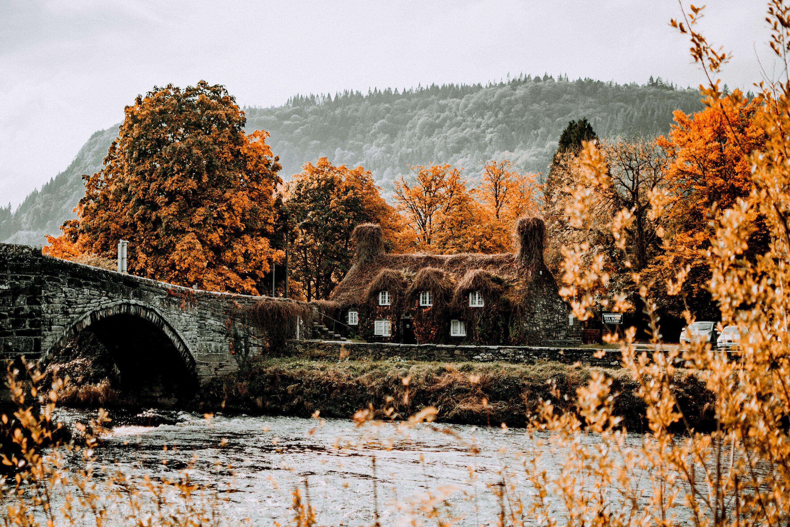 Charming autumn view of Betws-y-Coed in Wales with foliage and historic bridge.