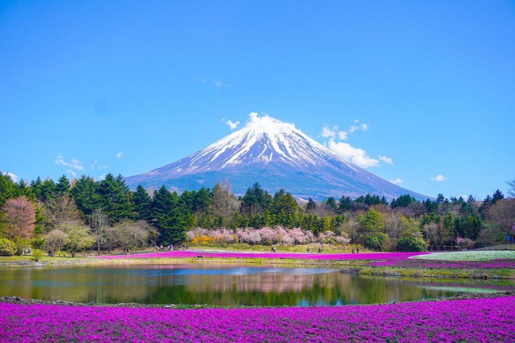 mount fuji, lake, nature, beautiful flowers, flower background, mountain, park, flower wallpaper, flowers, japan, spring