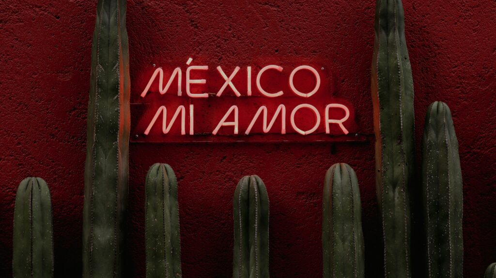 Vibrant neon sign reading 'México Mi Amor' with cactus and red background in Mexico City.