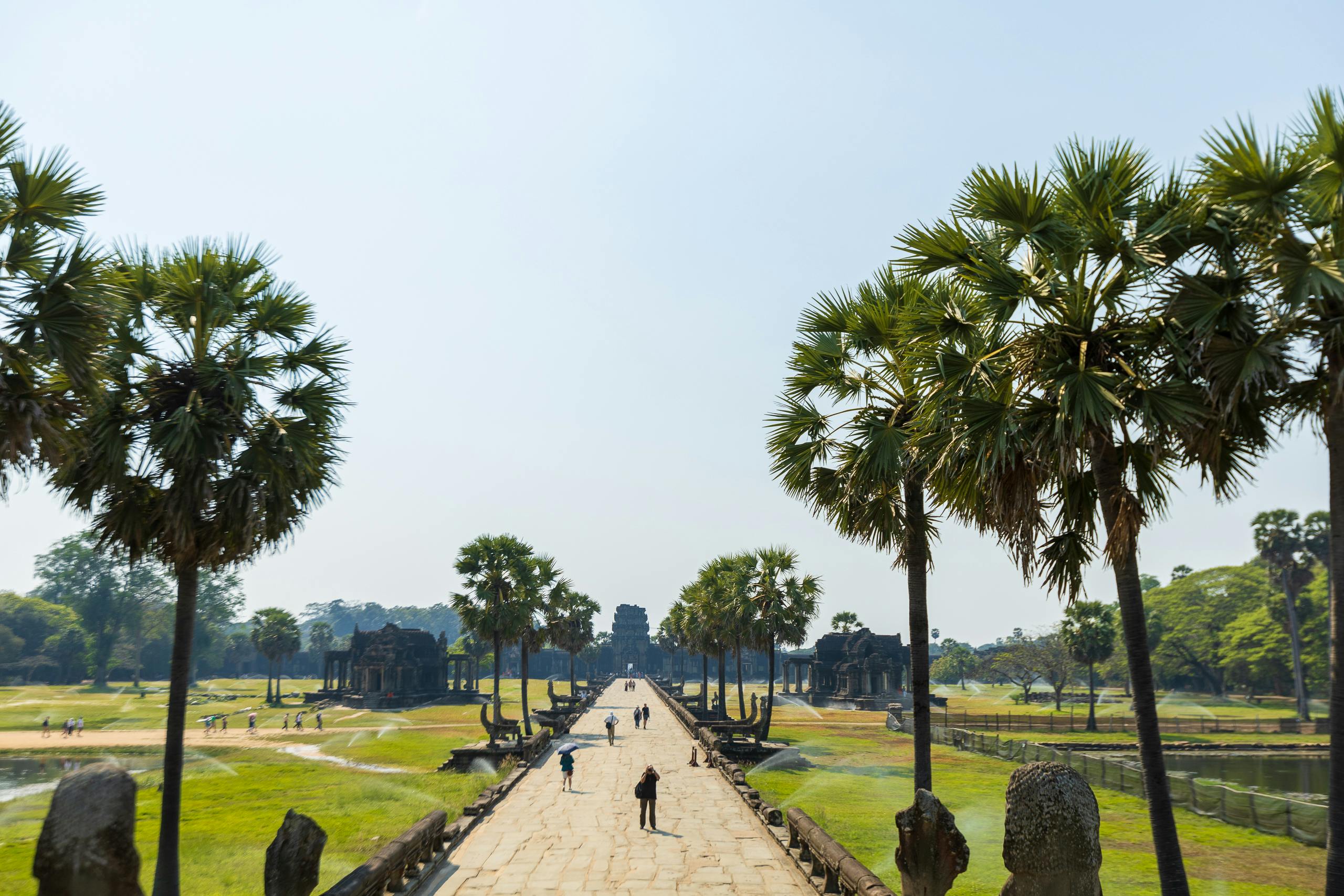Scenic pathway leading to ancient Angkor Wat with lush palm trees under a clear sky.