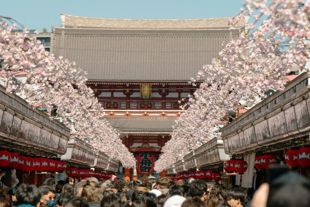 Crowds enjoy cherry blossoms at Senso-ji Temple in Tokyo, Japan.