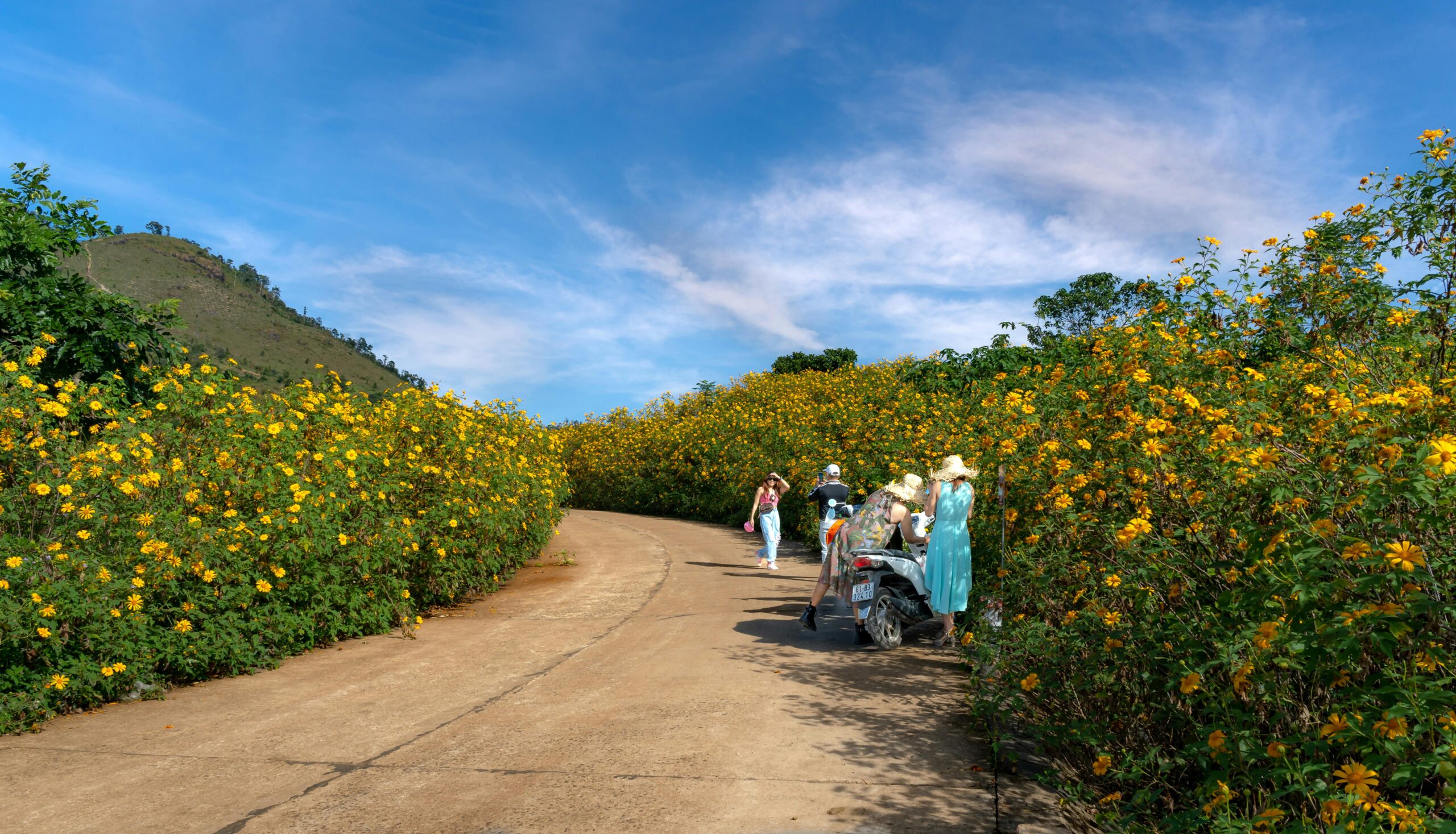 A group enjoys a sunny walk through a vibrant flower-lined countryside path.