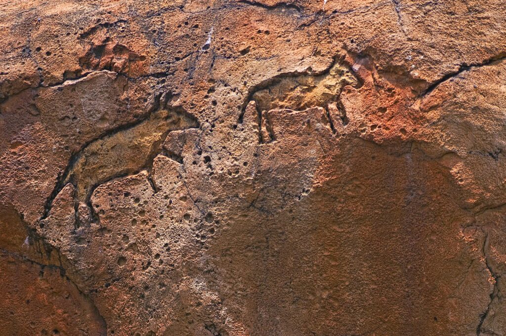 Detailed view of prehistoric rock carvings depicting animals on a rugged surface.