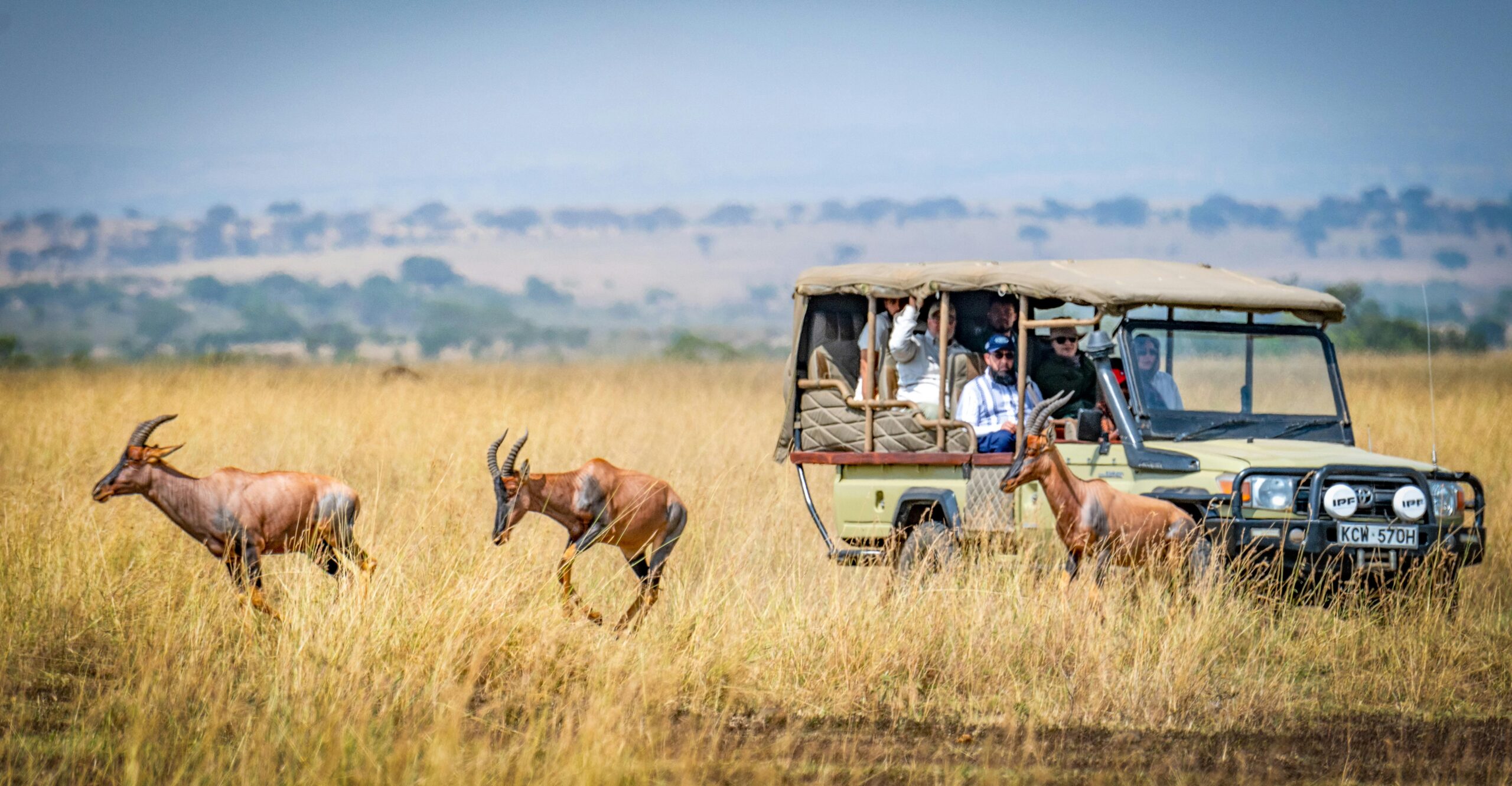 Tourists on an African safari observe antelopes in a scenic grassland setting.