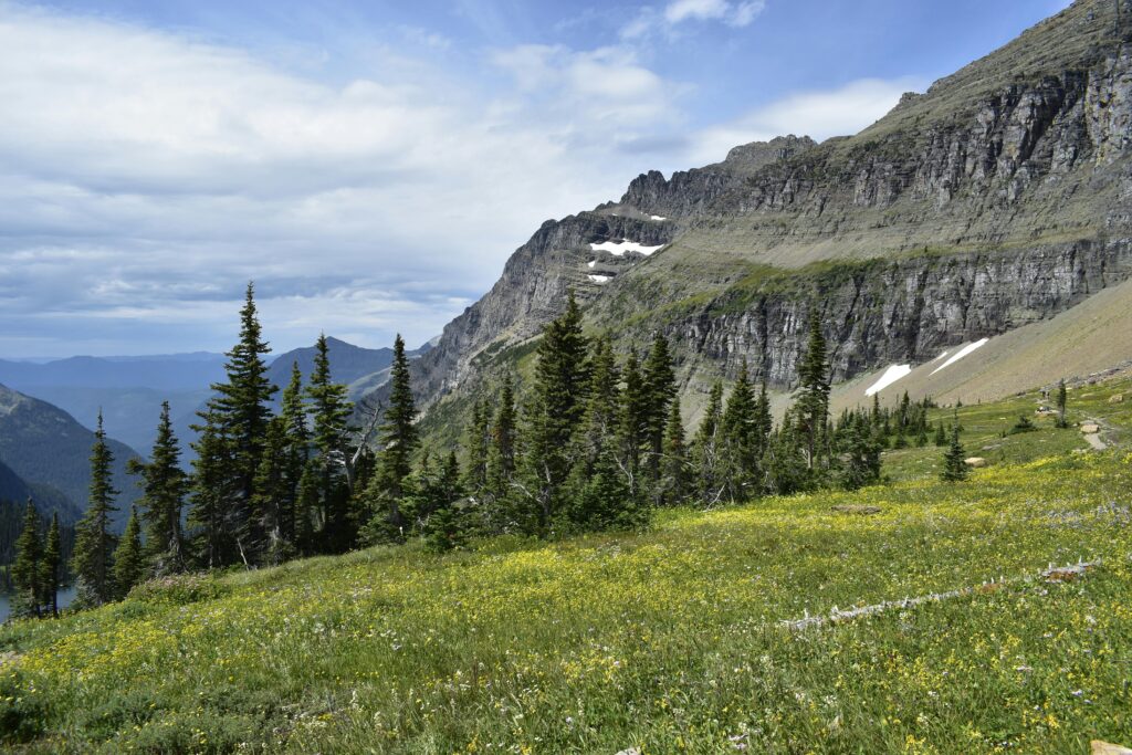 Explore the stunning mountain landscapes and meadows of Montana in this breathtaking outdoor summer scene.
