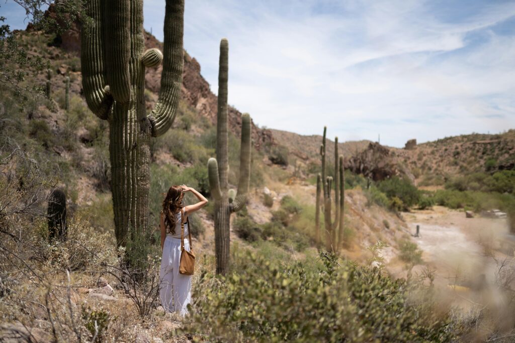 A woman in a white dress explores a scenic Arizona desert with saguaro cacti under a bright sky.