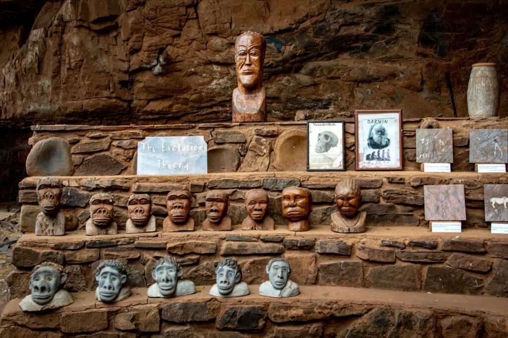 Stone carvings representing the theory of evolution, displayed in an outdoor setting.