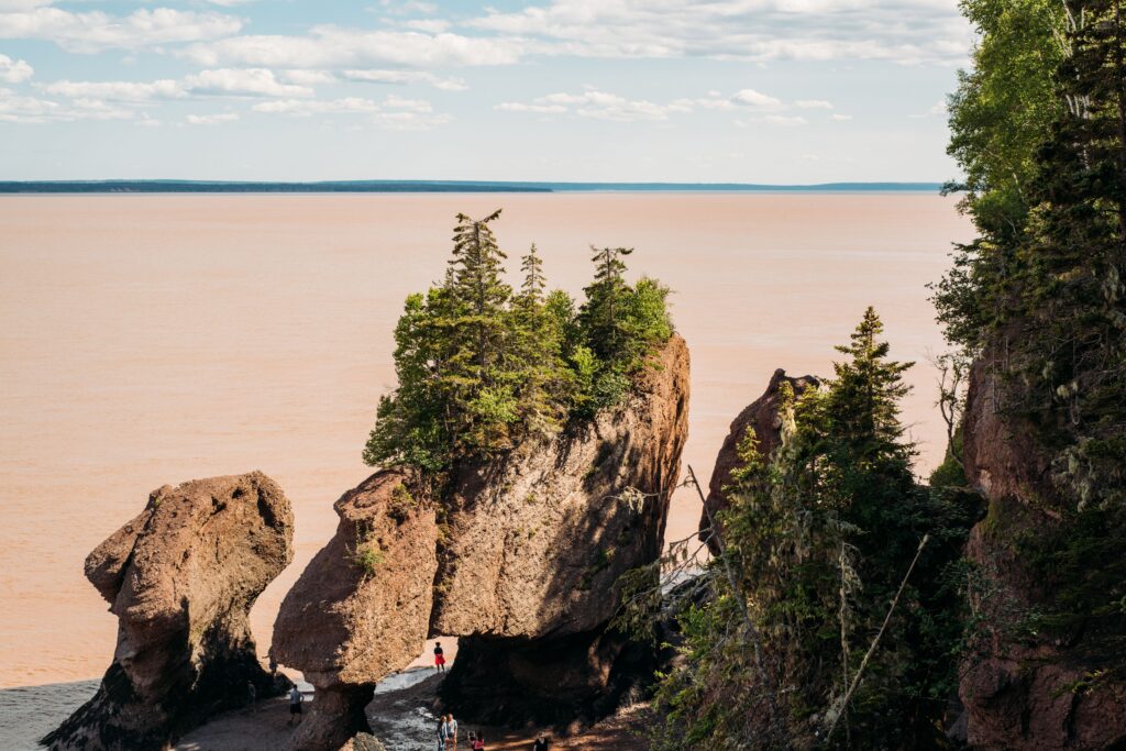 Stunning view of Hopewell Rocks at the Bay of Fundy, showcasing majestic rock formations and vibrant green trees under a clear sky.