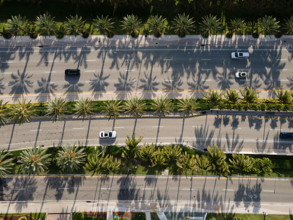 Aerial shot of a palm-lined road in Sunny Isles Beach, FL, showcasing exotic cars and tropical shadows.