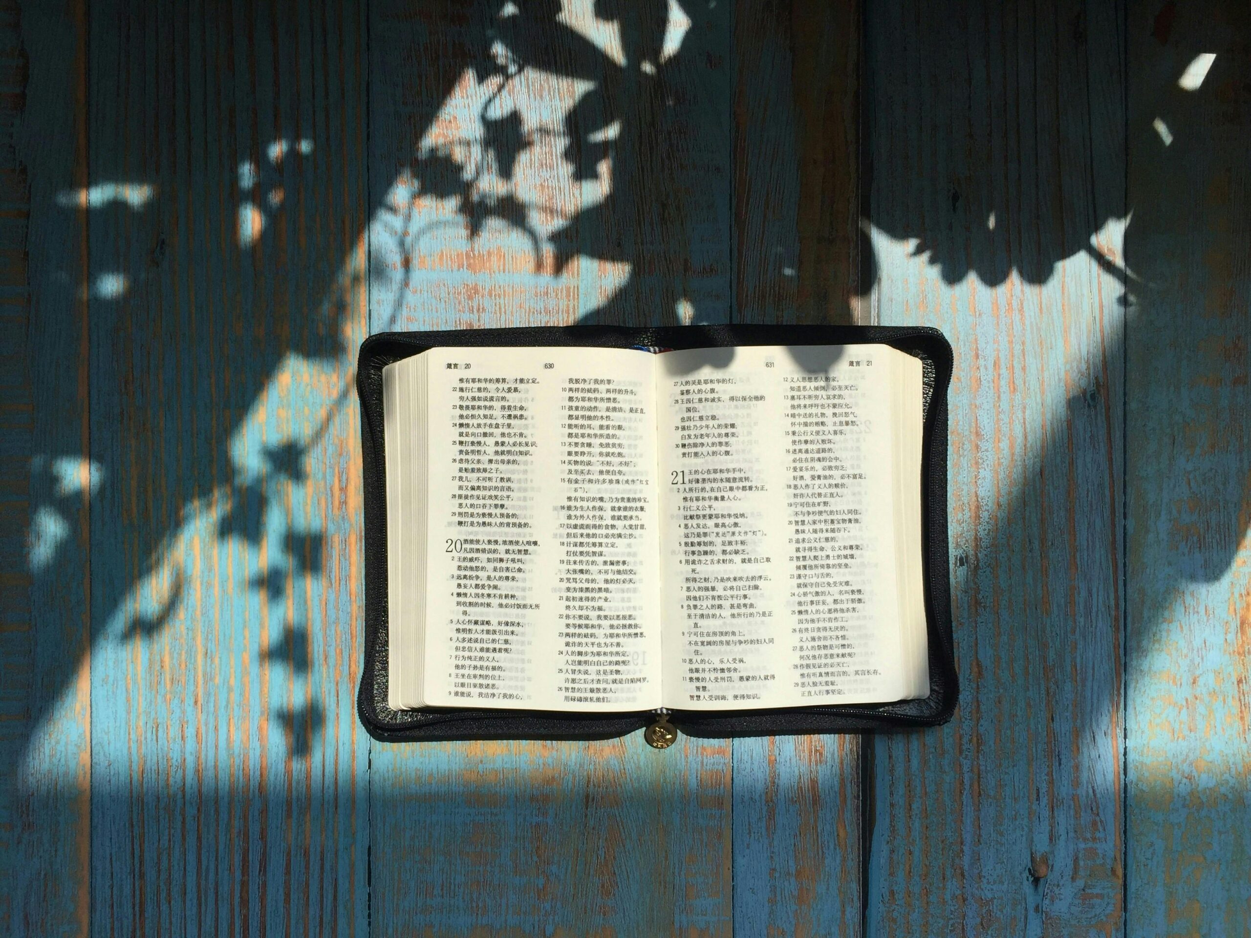An open book with Chinese text lies on a wooden surface with shadow play.