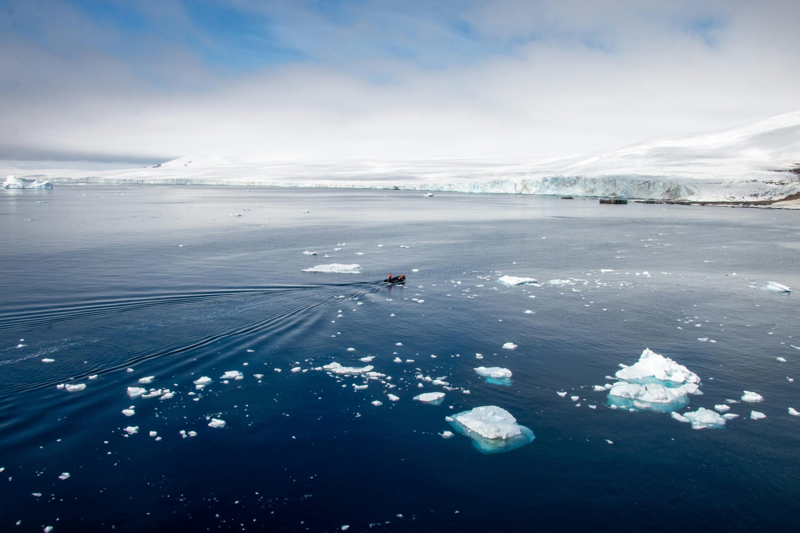 A calm Antarctic seascape with floating icebergs and distant snowy shorelines under a clear sky.