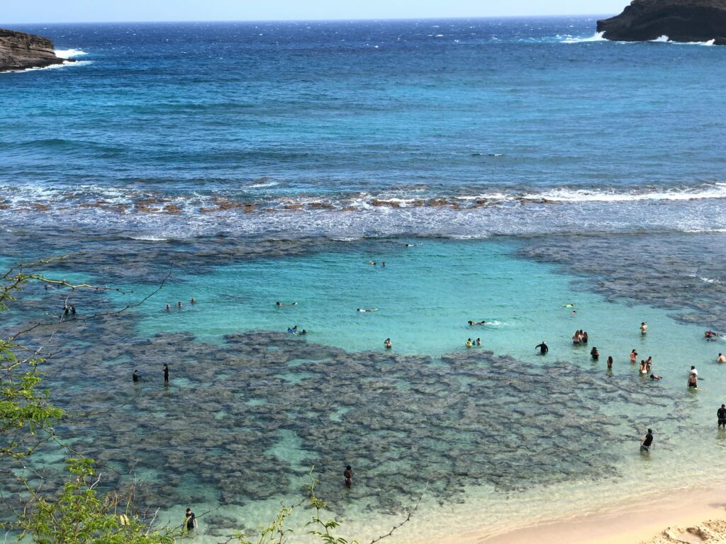 People enjoying the turquoise waters of Hanauma Bay, a popular snorkeling spot in Hawaii.