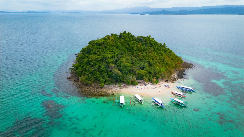 Stunning aerial view of a lush island surrounded by turquoise waters near San Vicente, Philippines.