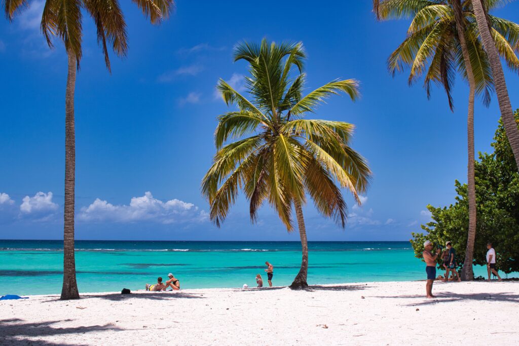 A serene tropical beach scene with palm trees, azure waters, and people relaxing under the sun.