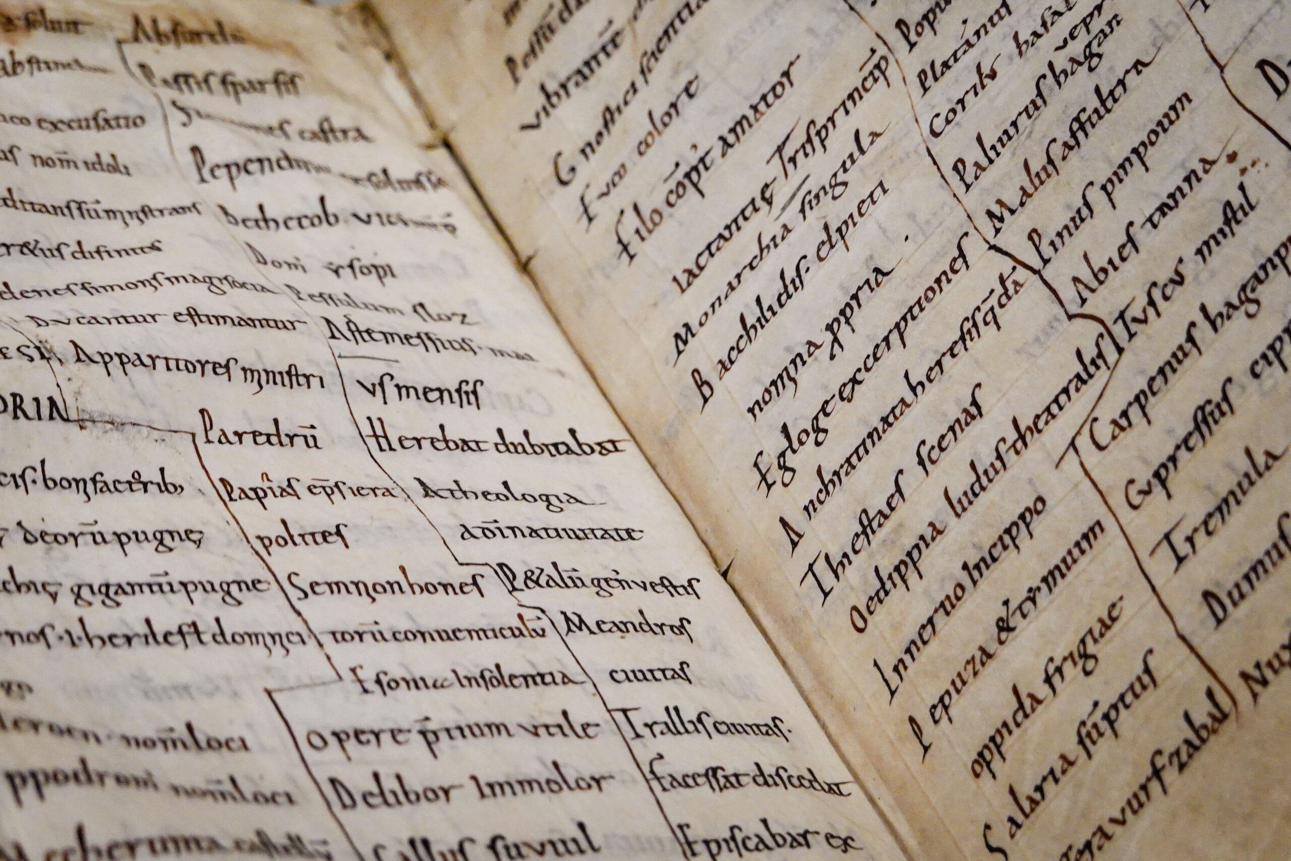 Detailed close-up of an ancient manuscript showcasing Latin text and calligraphy.