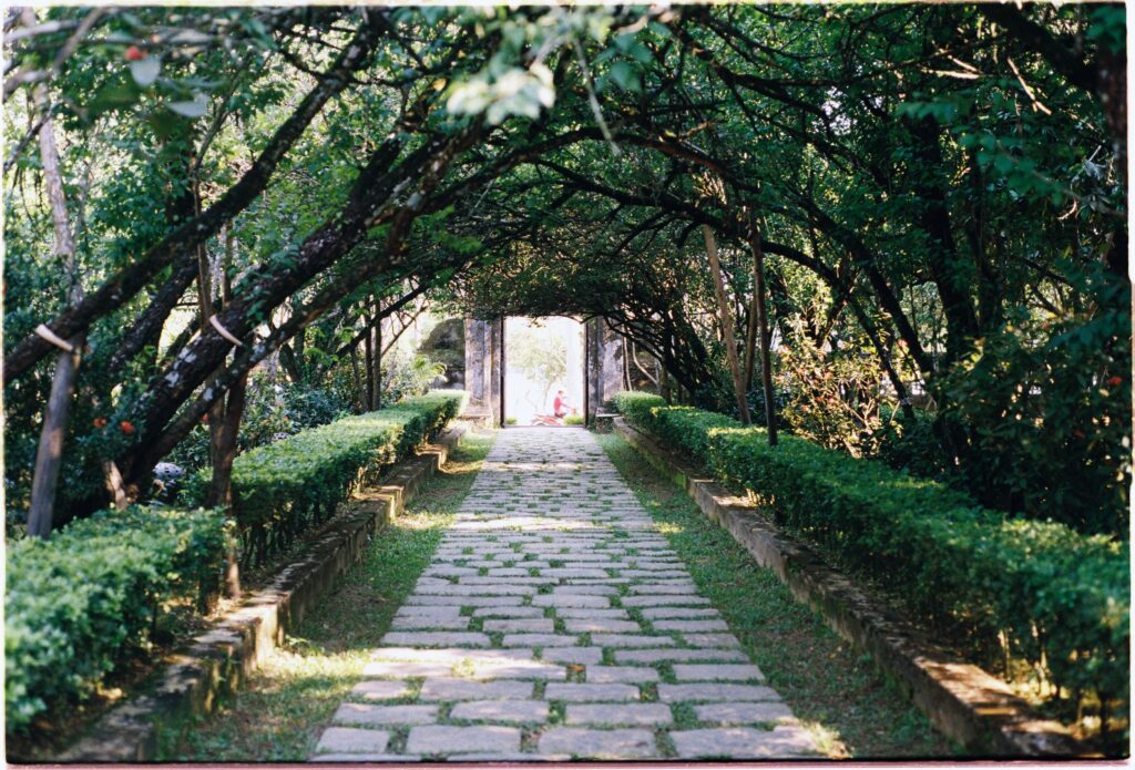 Serene stone pathway under lush garden arbor leading to a sunlit opening.