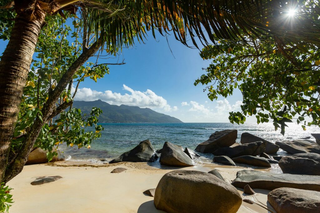 Tropical Seychelles beach with iconic granite boulders and lush greenery, perfect summer destination.