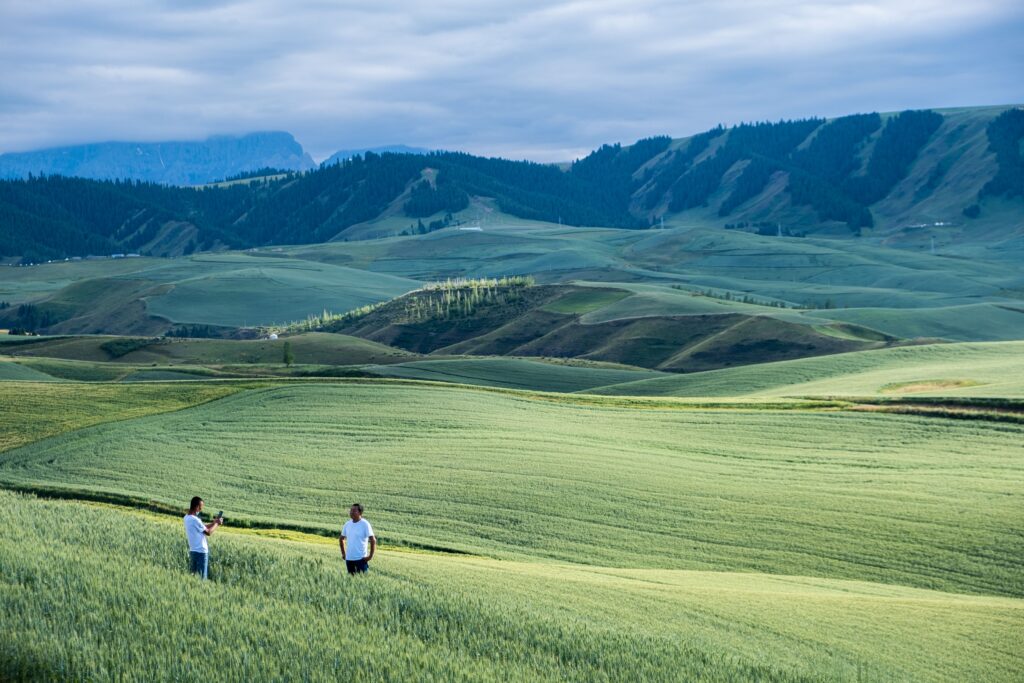 Explore the vast green fields of Xinjiang with mountains in the backdrop.