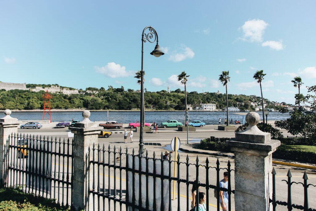 Vintage cars and palm trees by the Havana waterfront on a sunny day.