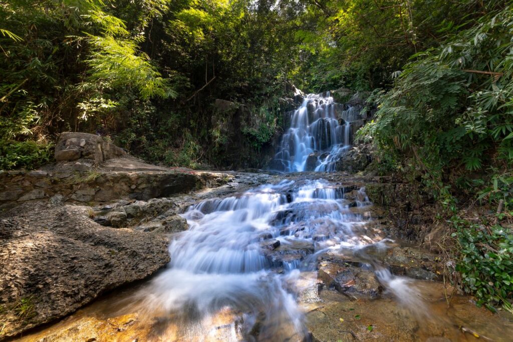 Captivating waterfall surrounded by vibrant greenery and flowing stream in a tranquil forest setting.