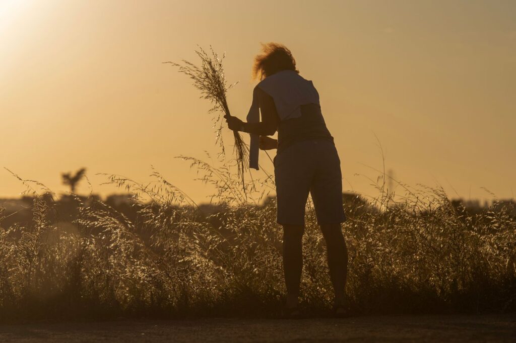 A lone silhouette collecting grass in a field under the warm glow of the setting sun.
